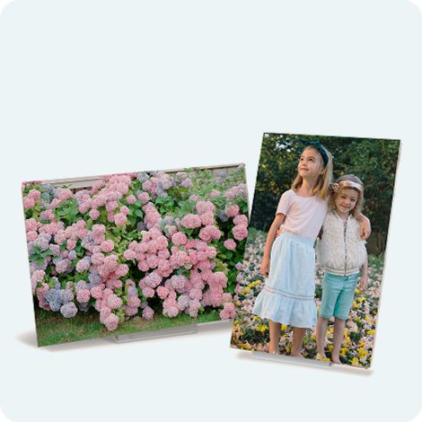 Wohndekoration Fotoleinwand vom Baby , Haustier